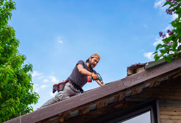 Best Gutter Installation and Repair  in Shaker Heights, OH